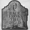 Halestorm - Back From The Dead 7” Die-Cut Single Vinyl Record (2022 Record Store Day Exclusive)