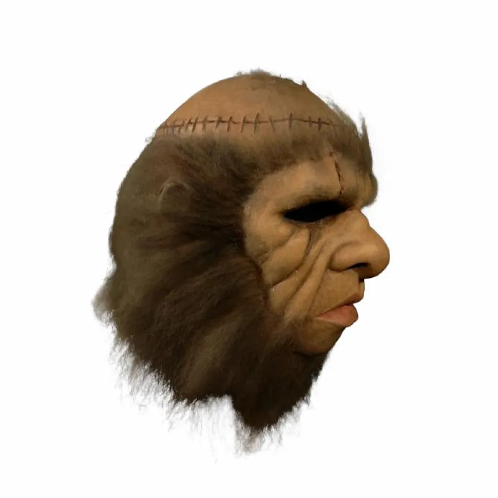 Hammer Horror - Frankenstein and the Monster From Hell Deluxe Adult Mask