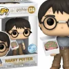 Harry Potter - Harry Potter with Cake Pop! Vinyl Figure