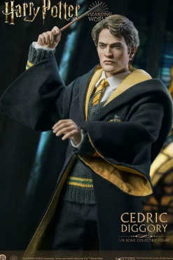 Harry Potter - Cedric Diggory Deluxe 1/6th Scale Action Figure