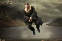 Harry Potter - Cedric Diggory Deluxe 1/6th Scale Action Figure