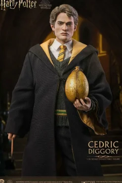 Harry Potter - Cedric Diggory Deluxe 1/6th Scale Action Figure