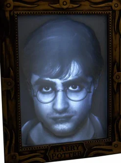 Harry Potter - Harry Potter Holopane Mood Lamp