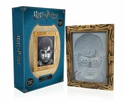 Harry Potter - Harry Potter Holopane Mood Lamp