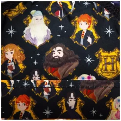 Harry Potter - Hogwarts 11