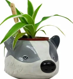 Harry Potter - Hufflepuff Badger Mascot Plant Pot