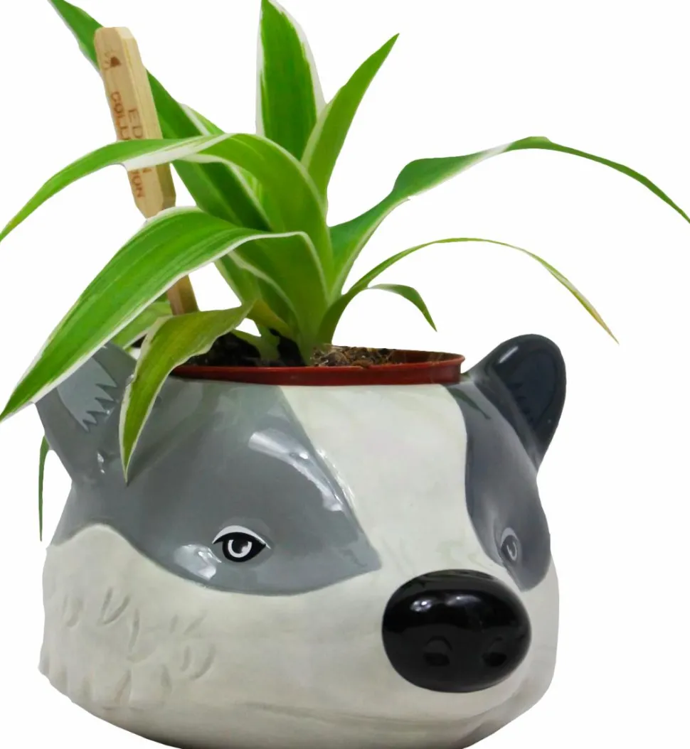 Harry Potter - Hufflepuff Badger Mascot Plant Pot