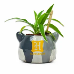 Harry Potter - Hufflepuff Badger Mascot Plant Pot