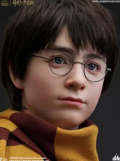 Harry Potter and the Philosopher's Stone - Harry Potter 1:1 Scale Life-Size Bust