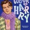 Harry Styles - Colour in Harry: A Unofficial Harry Styles Colouring and Sticker Book Paperback Book