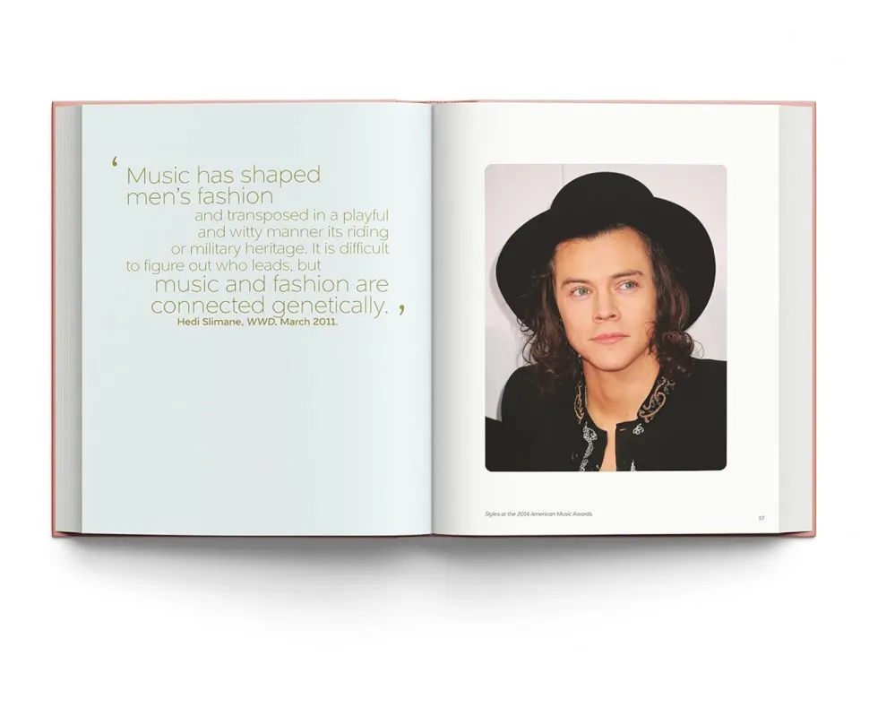 Harry Styles - Harry Styles and the Clothes He Wears Hardcover Book