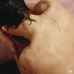 Harry Styles - Harry Styles LP Vinyl Record
