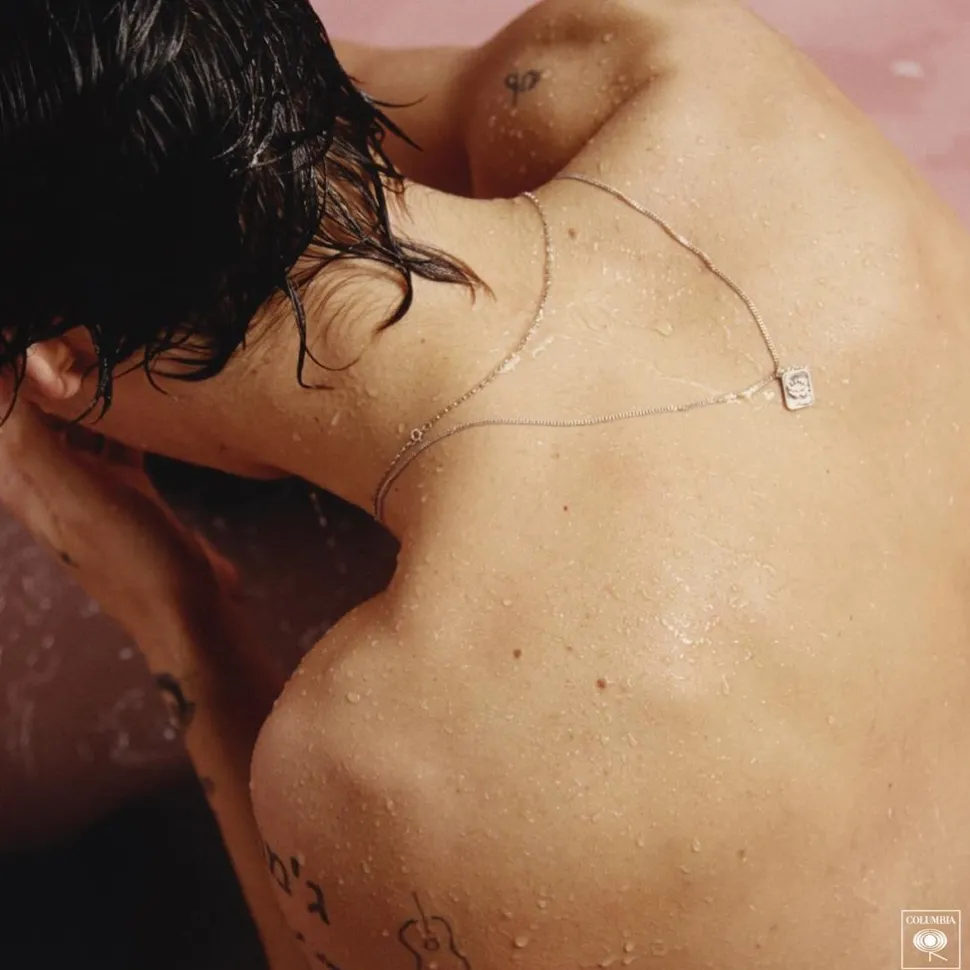 Harry Styles - Harry Styles LP Vinyl Record