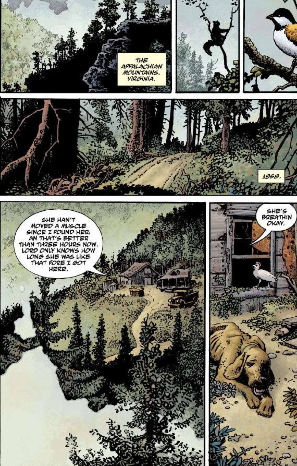 Hellboy - Library Edition Volume 04 The Crooked Man and The Troll Witch Hardcover Book