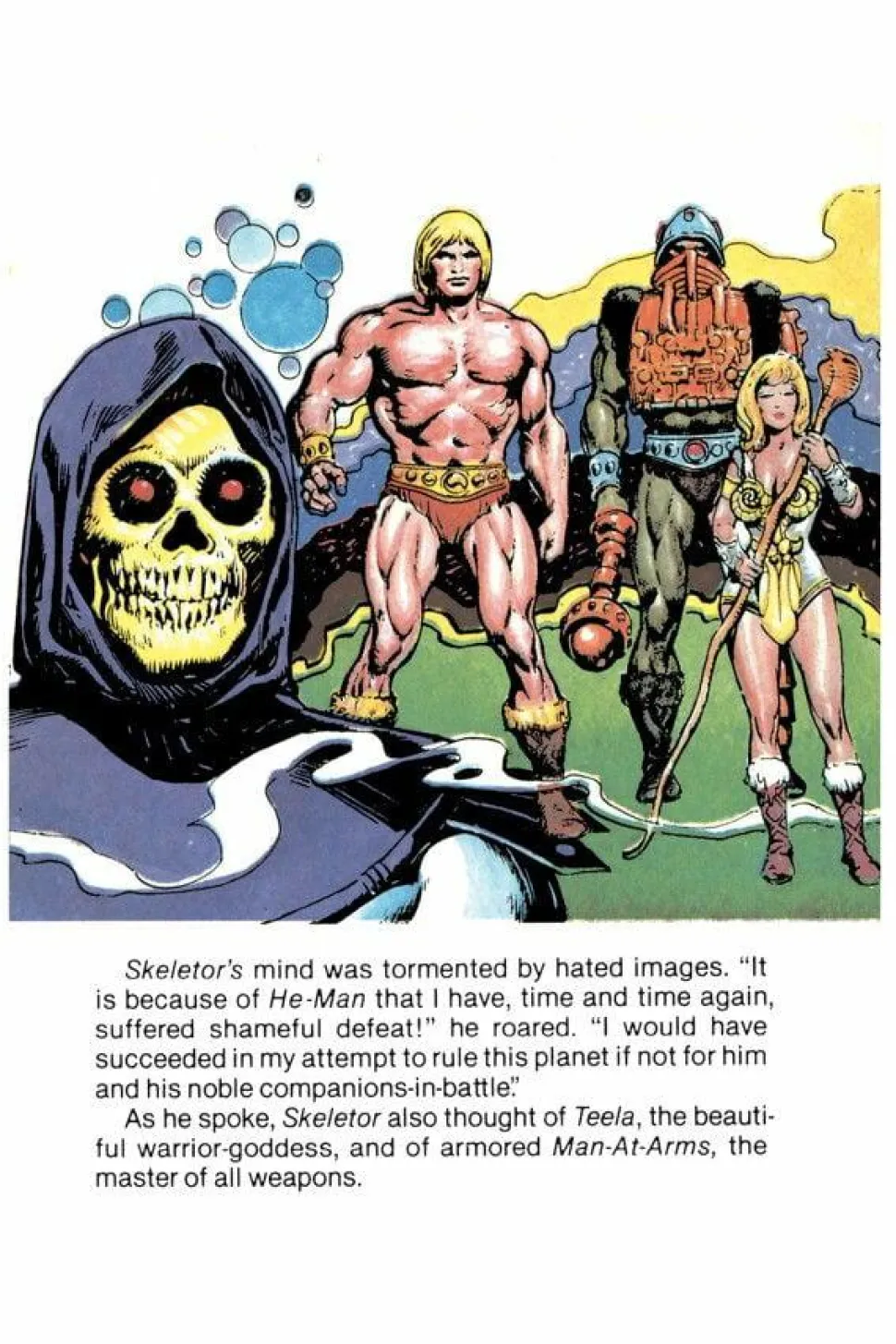 He-Man and the Masters of the Universe - Mini-Comic Collection Hardcover Book