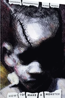 How to Make a Monster: Ugly Memories of Chicago from a South Side Escapee by Casanova Frankenstein Hardcover Book