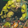 Hulk - Maestro by Peter David Omnibus Hardcover Book (DM Variant Cover)