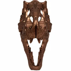 Jurassic Park - Bronze T-Rex Skull 6