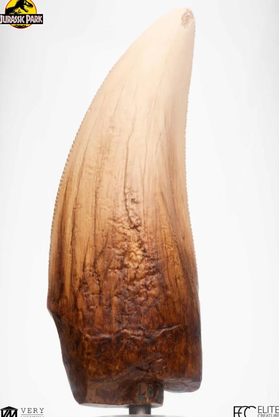 Jurassic Park - Screen Used T-Rex Tooth Reproduction 1:1 Scale Life-Size Prop Replica