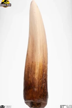 Jurassic Park - Screen Used T-Rex Tooth Reproduction 1:1 Scale Life-Size Prop Replica