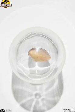 Jurassic Park - Screen Used T-Rex Tooth Reproduction 1:1 Scale Life-Size Prop Replica