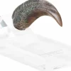 Jurassic Park - Screen Used Velociraptor Hand Claw Reproduction 1:1 Scale Life-Size Prop Replica