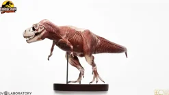 Jurassic Park - T-Rex Anatomy 1/12th Scale Maquette Statue