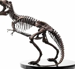 Jurassic Park - T-Rex Skeleton (Visitor Center Rotunda) 30th Anniversary 1/8th Scale Bronze Statue Replica