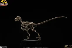 Jurassic Park - Velociraptor Skeleton Bronze 1/8th Scale Statue