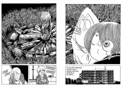 Kitaro Meets Nurarihyon by Shigeru Mizuki Manga Paperback Book