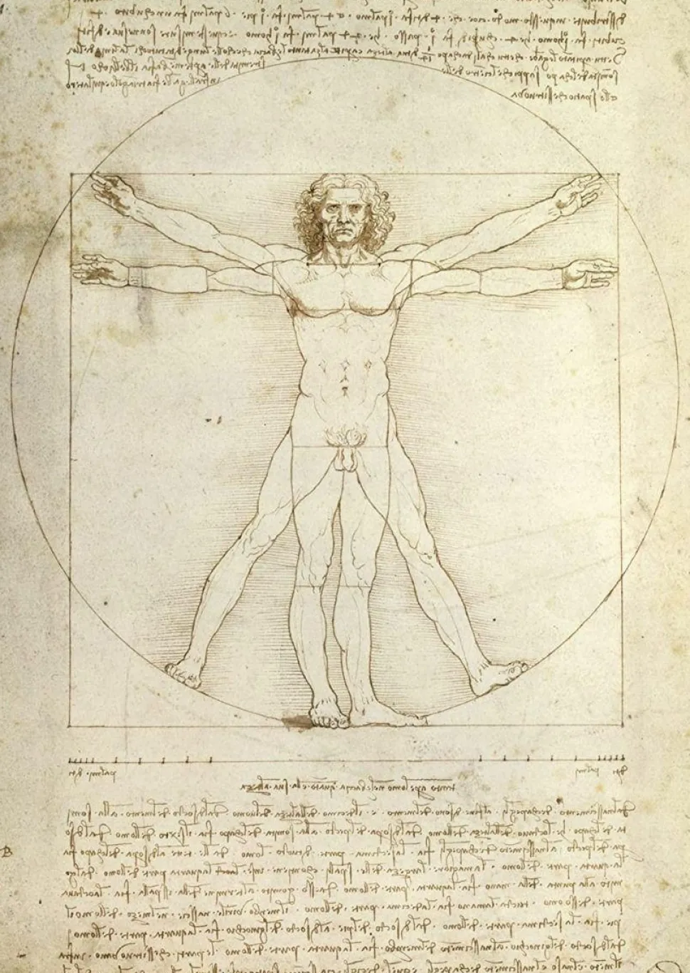 Leonardo Da Vinci - Uomo Vitruviano: The Vitruvian Man Puzzle (1000 Pieces)