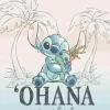Lilo & Stitch - Ohana Means Family Poster (1270)