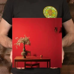 Mac Miller - Watching Movies with the Sound Off 10 Year Anniversary Edition 2xLP + 10 Vinyl Record (Galaxy Red Coloured Vinyl & Zoetrope Vinyl)