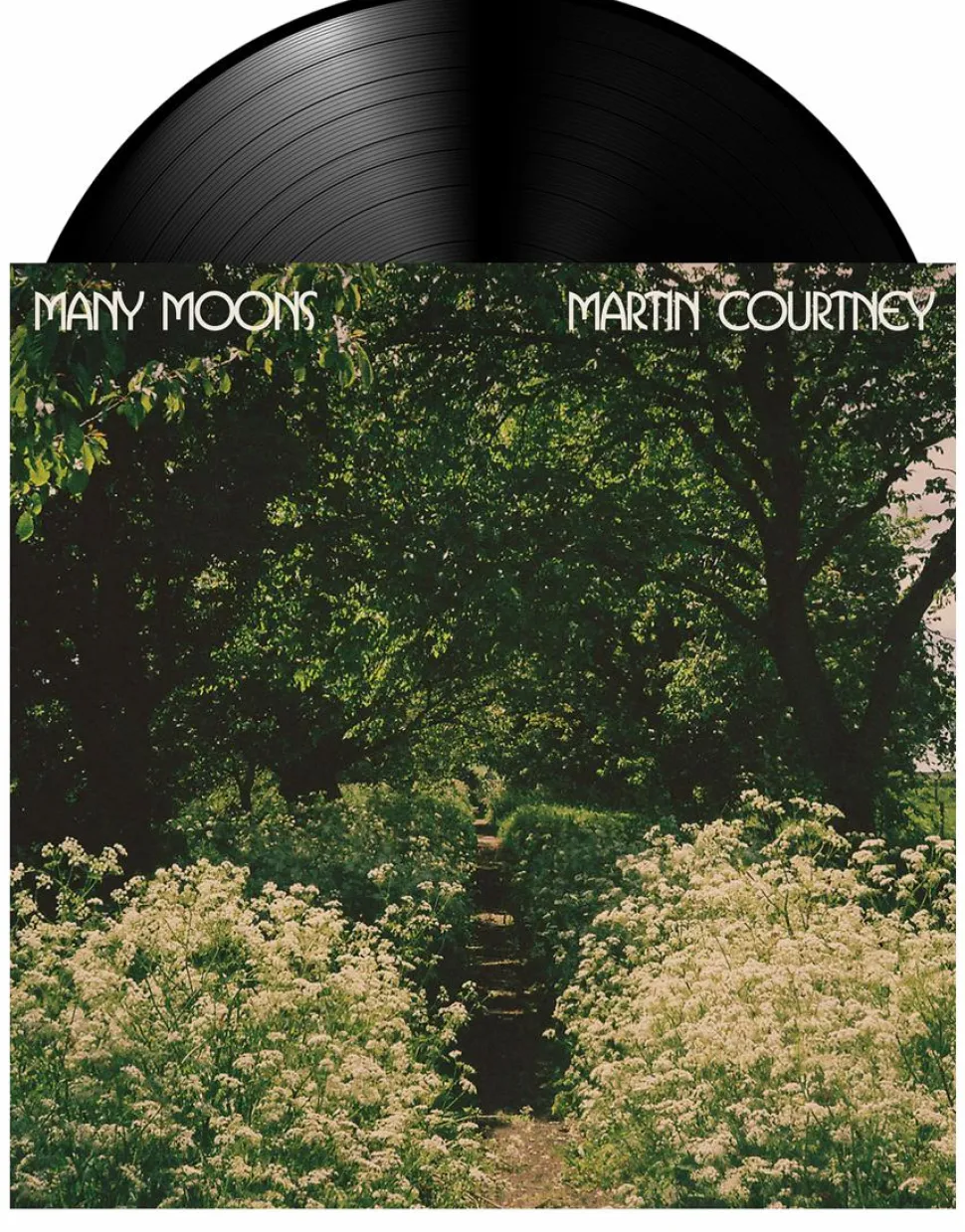 Martin Courtney - Many Moons LP Vinyl Record