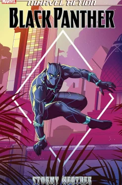 Marvel Action: Black Panther - Book One Stormy Weather Paperback Book