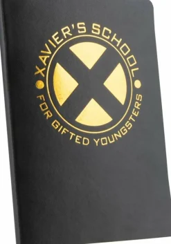 Marvel Collector Corps - X-Men Subscription Box (One Size)