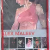 Marvel Comics - The Marvel Portfolio of Alex Maleev: Daredevil (12 Art Prints)