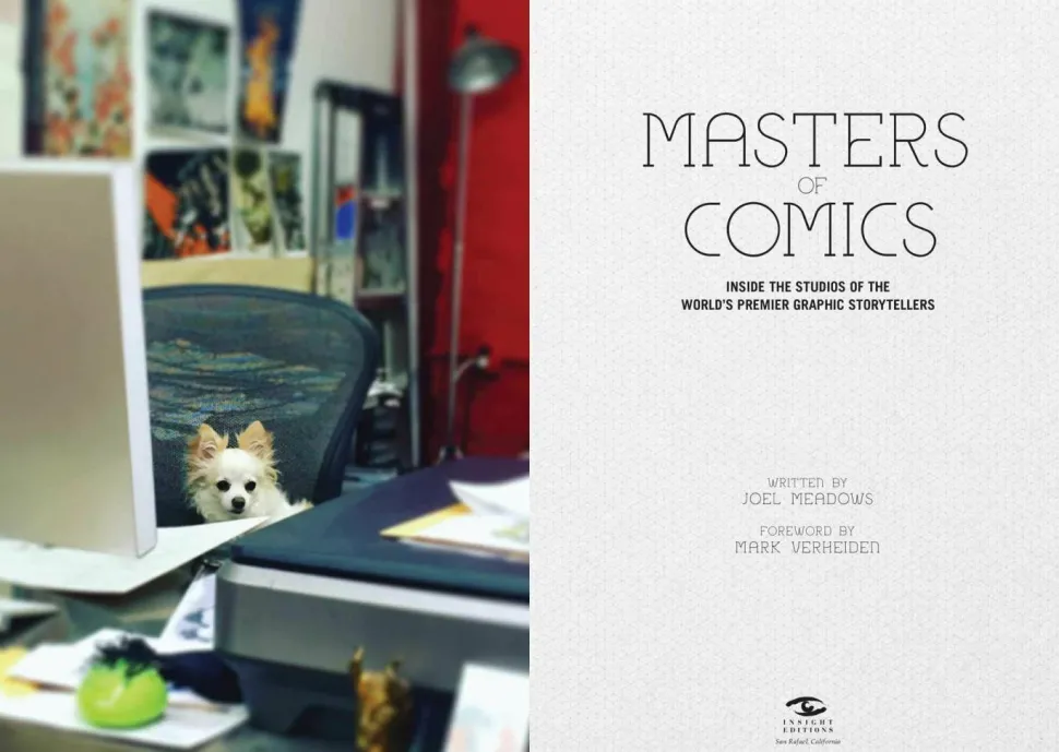 Masters of Comics by Joel Meadows Paperback Book