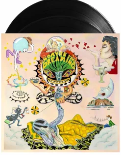 Maybe I'm Dreaming by Various Artists 2xLP Vinyl Record
