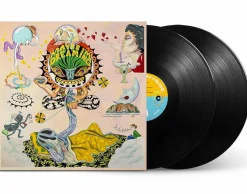 Maybe I'm Dreaming by Various Artists 2xLP Vinyl Record