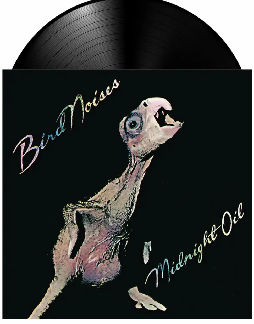 Midnight Oil - Bird Noises 12” EP Vinyl Record