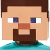 Minecraft - Steve Vacuform Child Mask (One Size Fits Most)