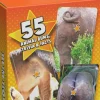 Name That Bumhole - Card Game