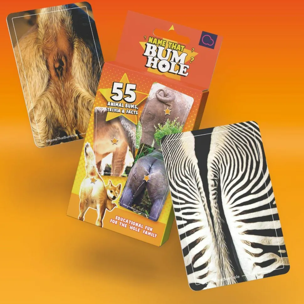Name That Bumhole - Card Game