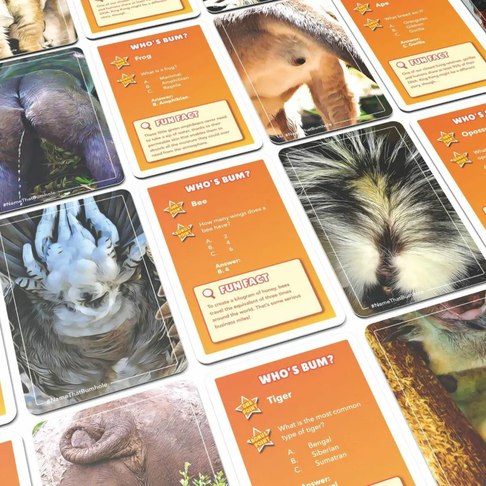 Name That Bumhole - Card Game