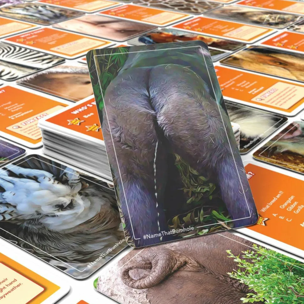 Name That Bumhole - Card Game