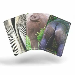 Name That Bumhole - Card Game