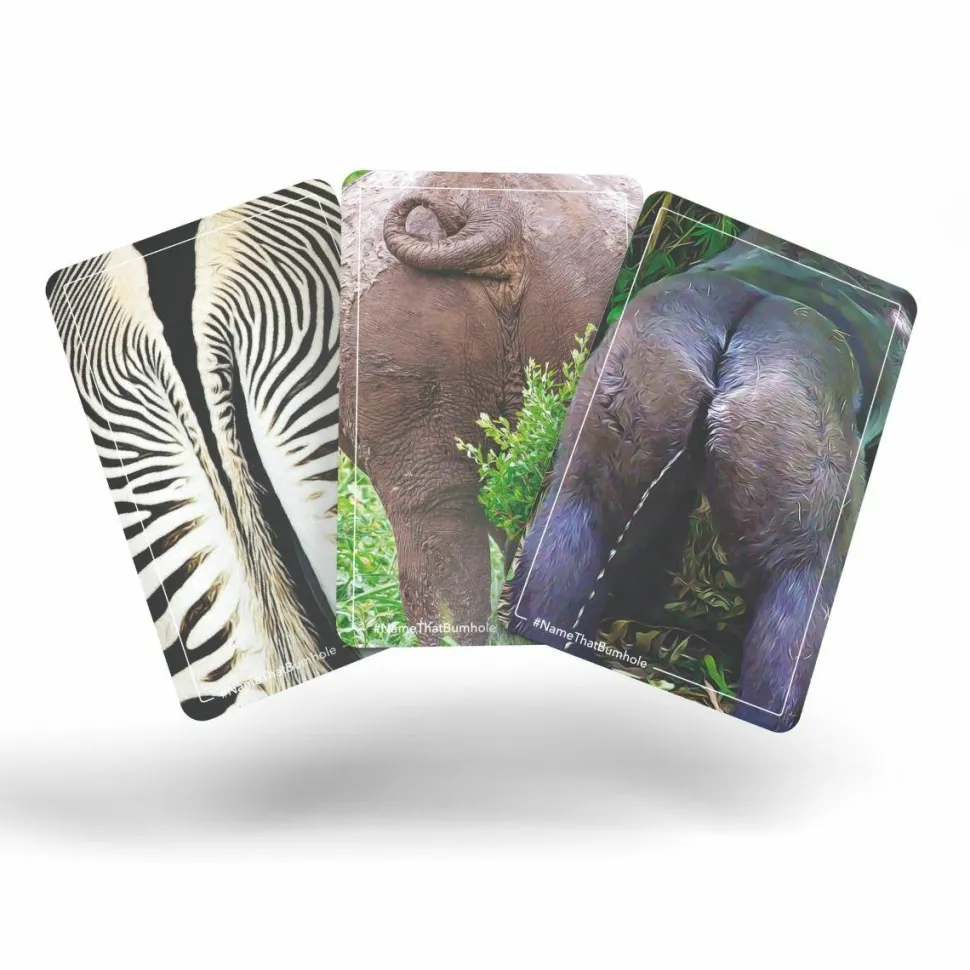 Name That Bumhole - Card Game