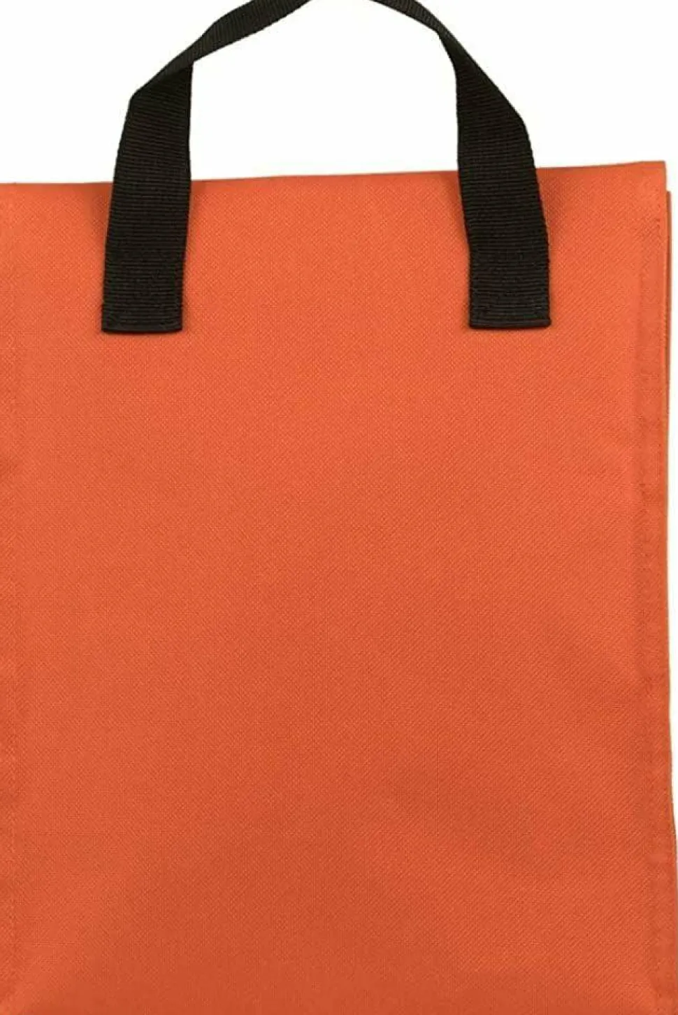 NASA - Insulated Lunch Cooler Bag