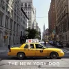 New York Dog - HC (Hardcover Book)